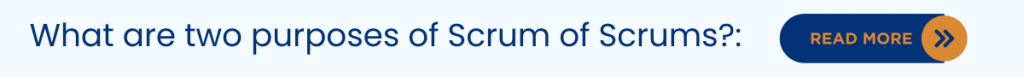What are two purposes of Scrum of Scrums?